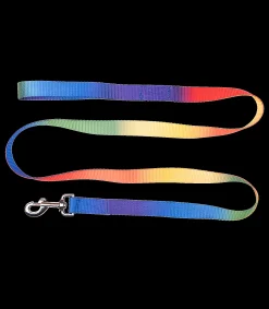 Waldhausen Stricke>Führstrick Regenbogen