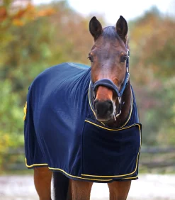 Waldhausen Abschwitzdecken></noscript>Fleece- und Sponsorendecke