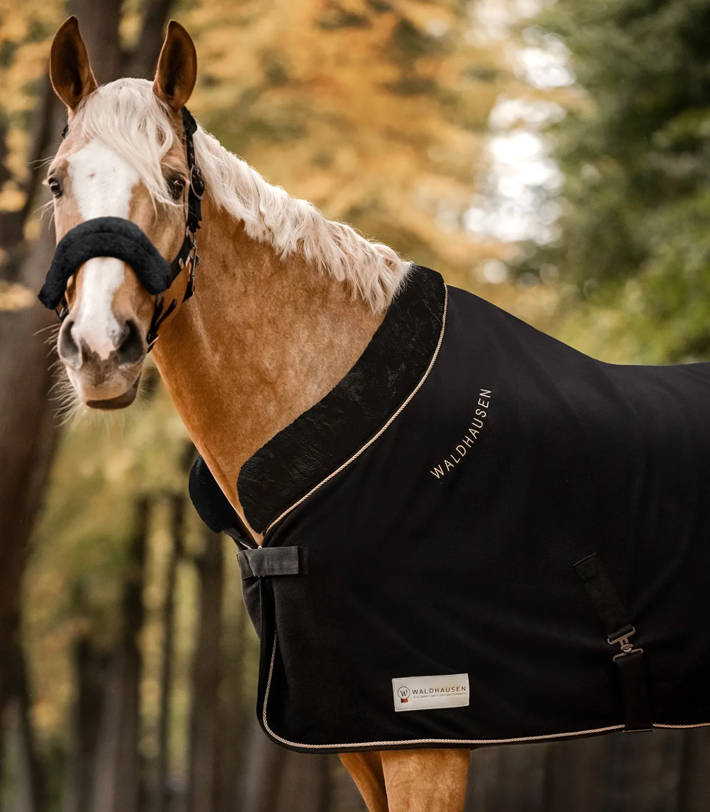 Waldhausen Abschwitzdecken>Fleecedecke Modern Rosé