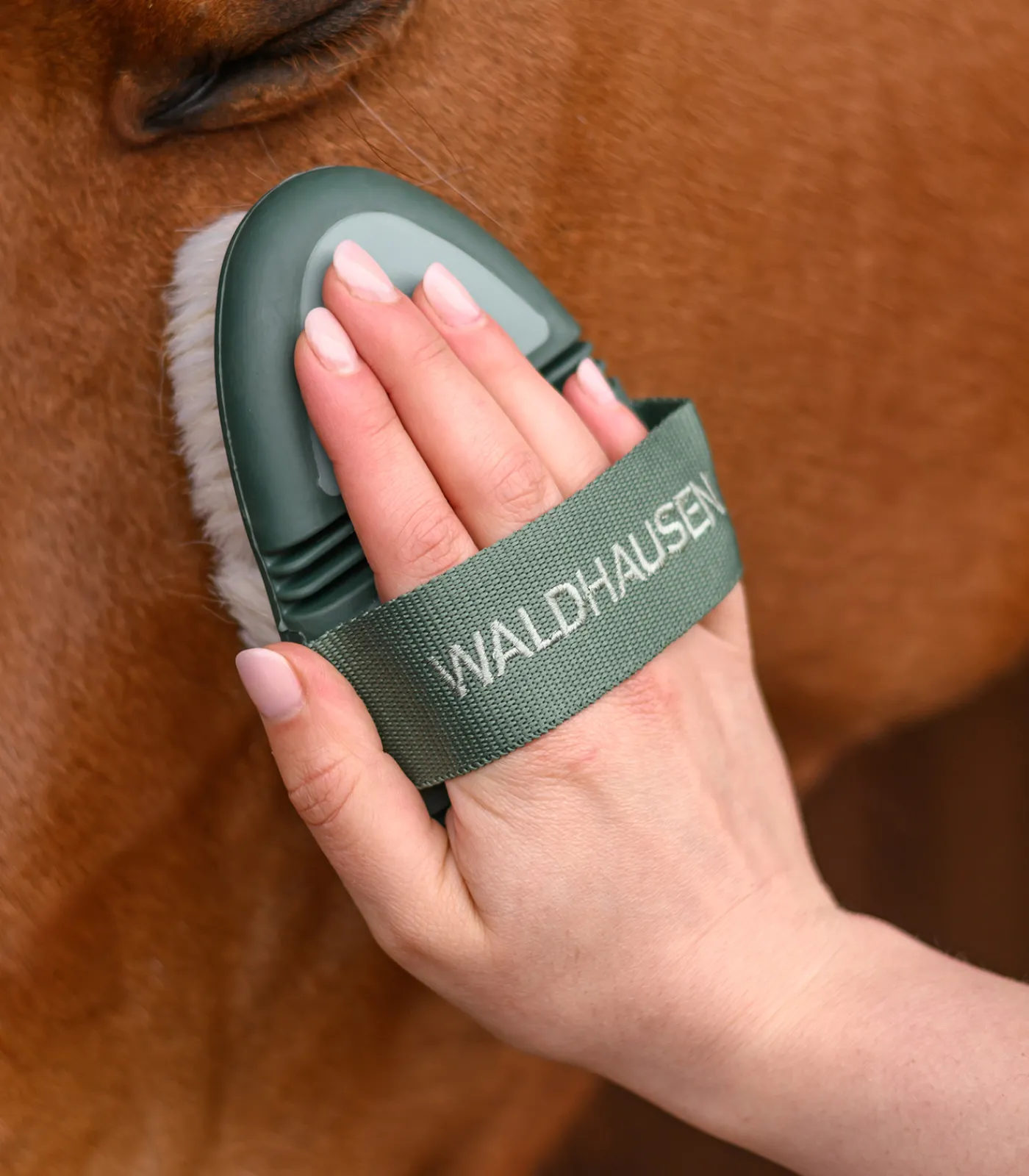 Waldhausen Putzzeug>Flex Glanzbürste