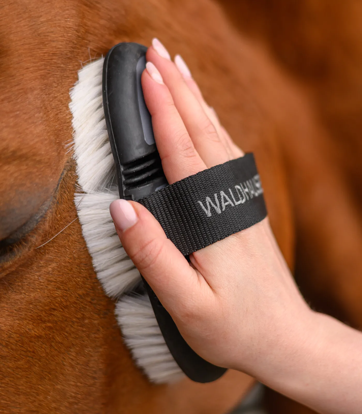 Waldhausen Putzzeug>Flex Glanzbürste