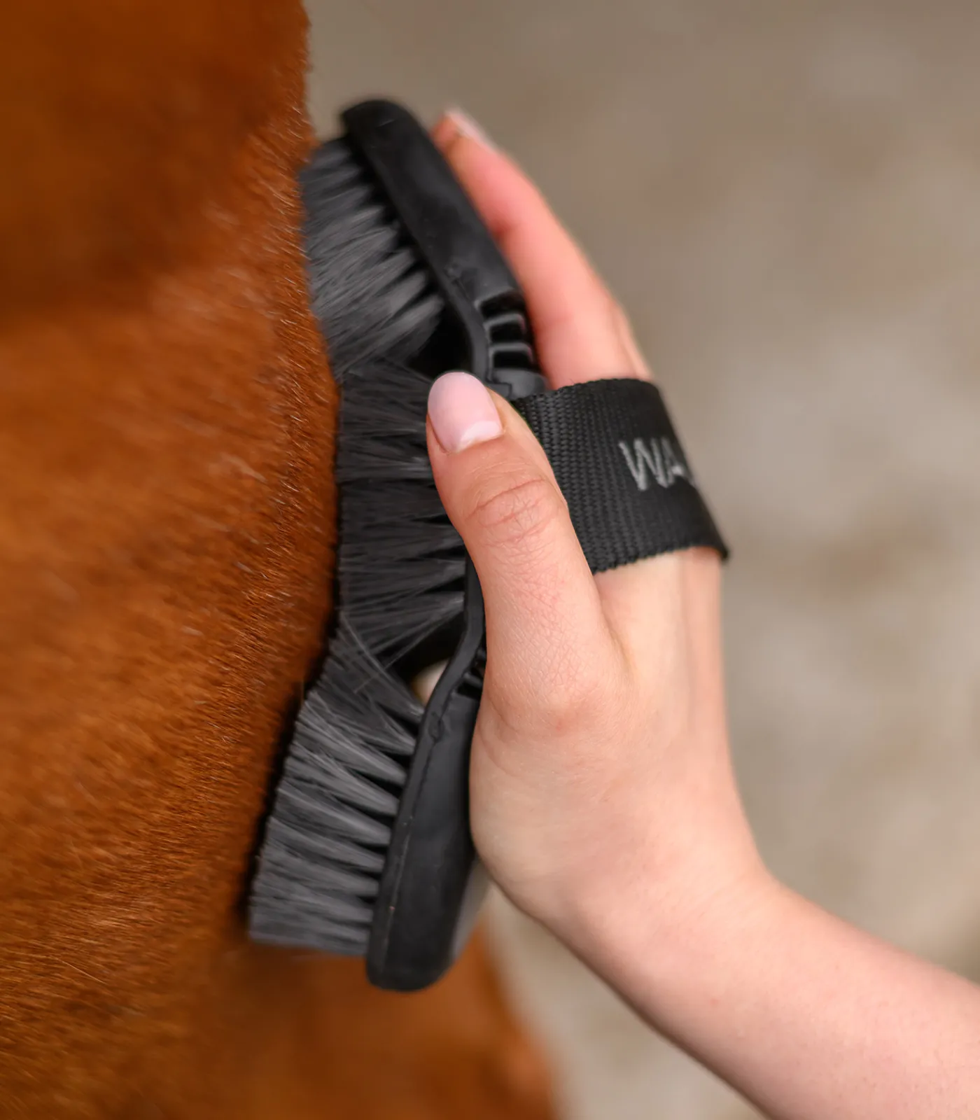 Waldhausen Putzzeug>Flex Kardätsche, weiche Synthetikborsten