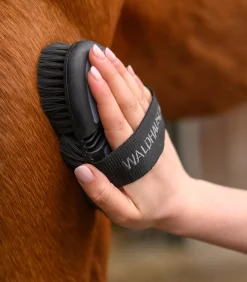 Waldhausen Putzzeug><noscript><img width=