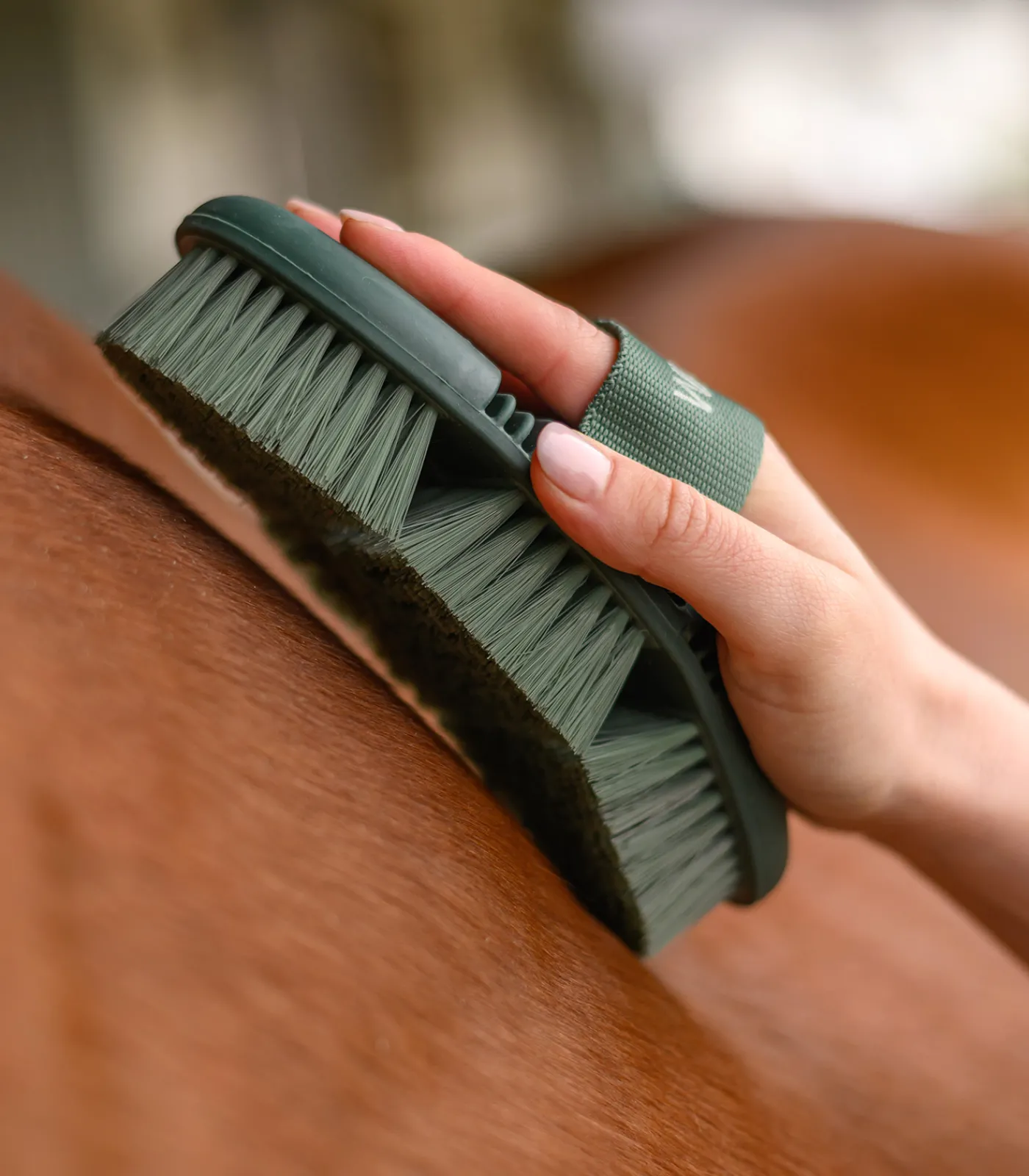 Waldhausen Putzzeug>Flex Kardätsche, weiche Synthetikborsten