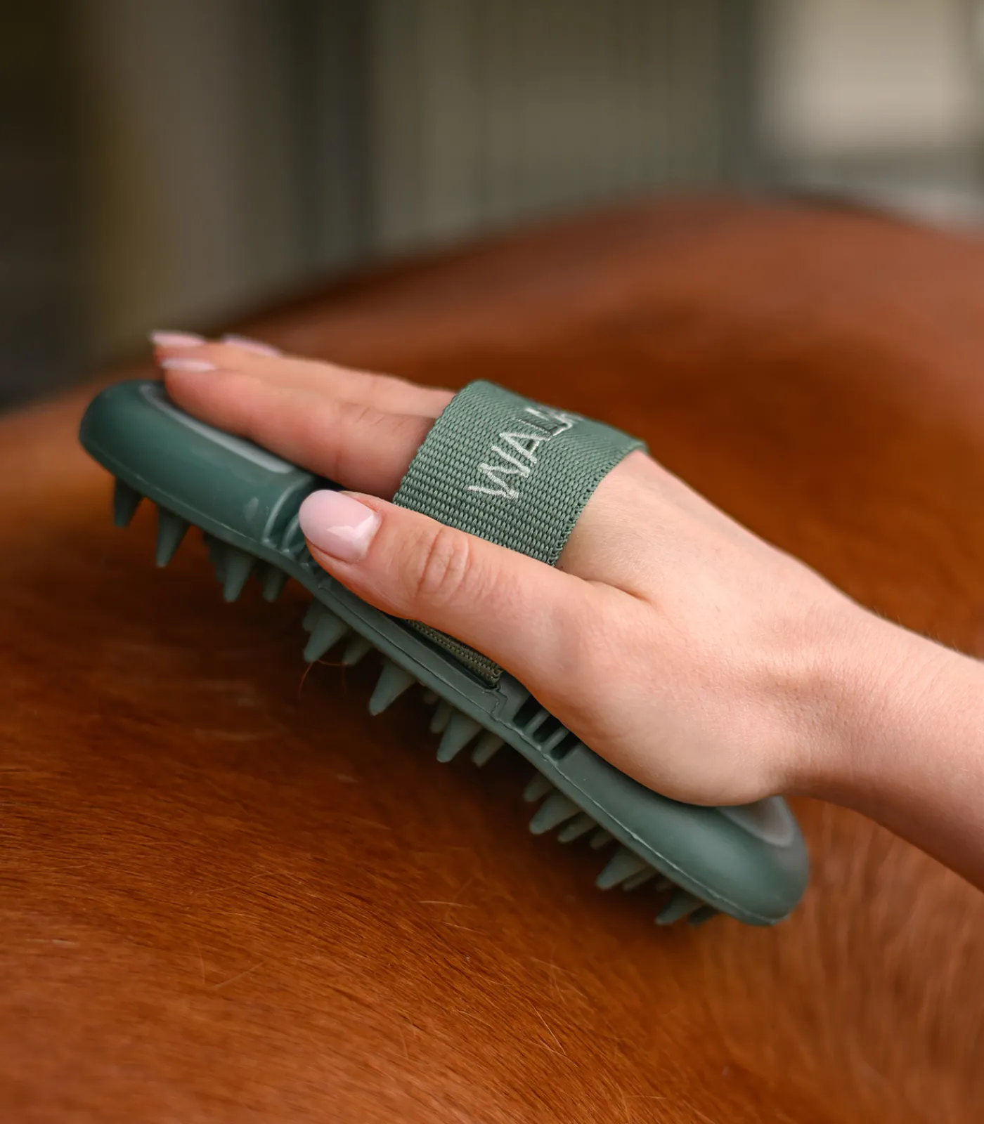 Waldhausen Putzzeug>Flex Massage-Striegel