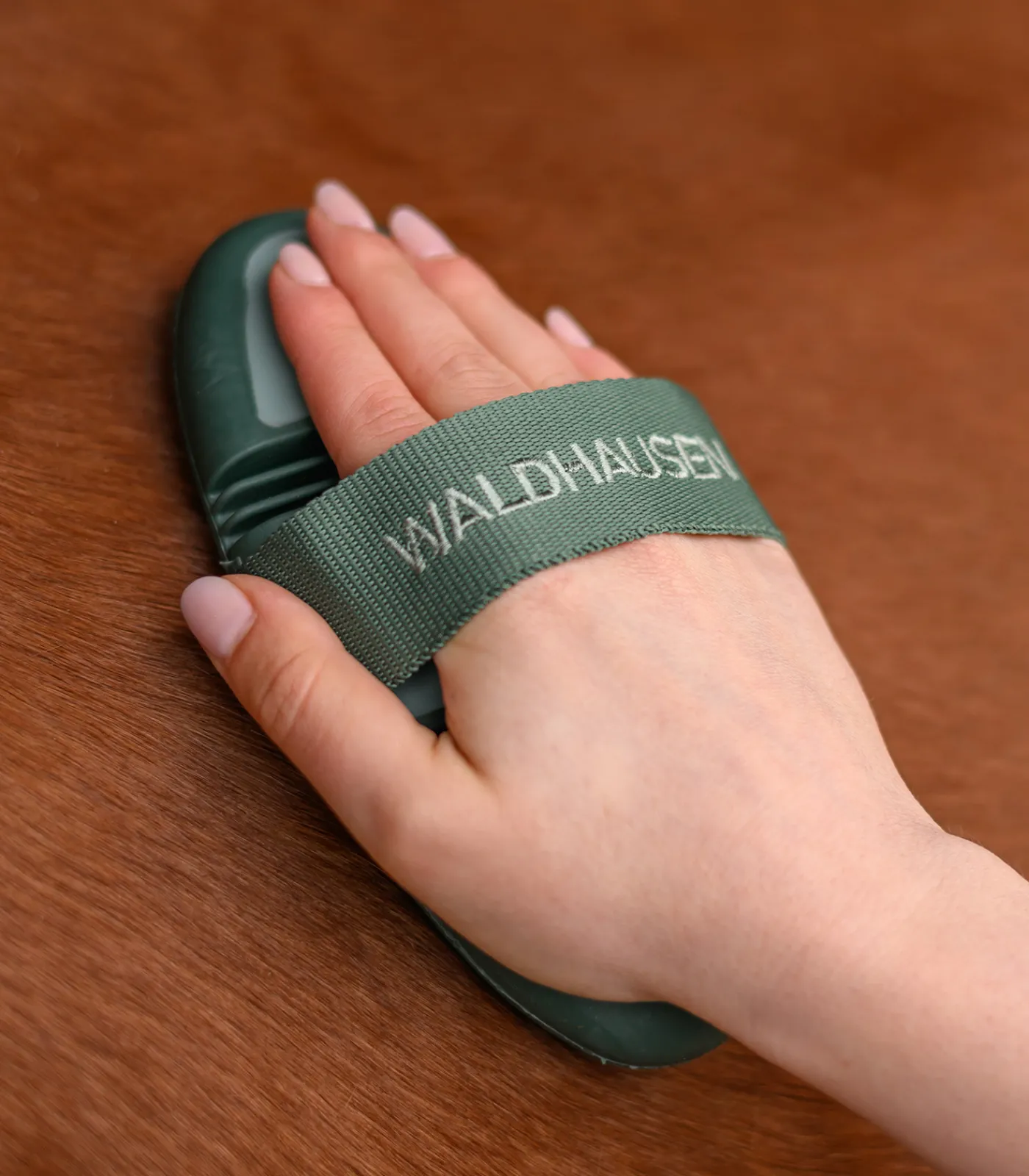 Waldhausen Putzzeug>Flex Striegel