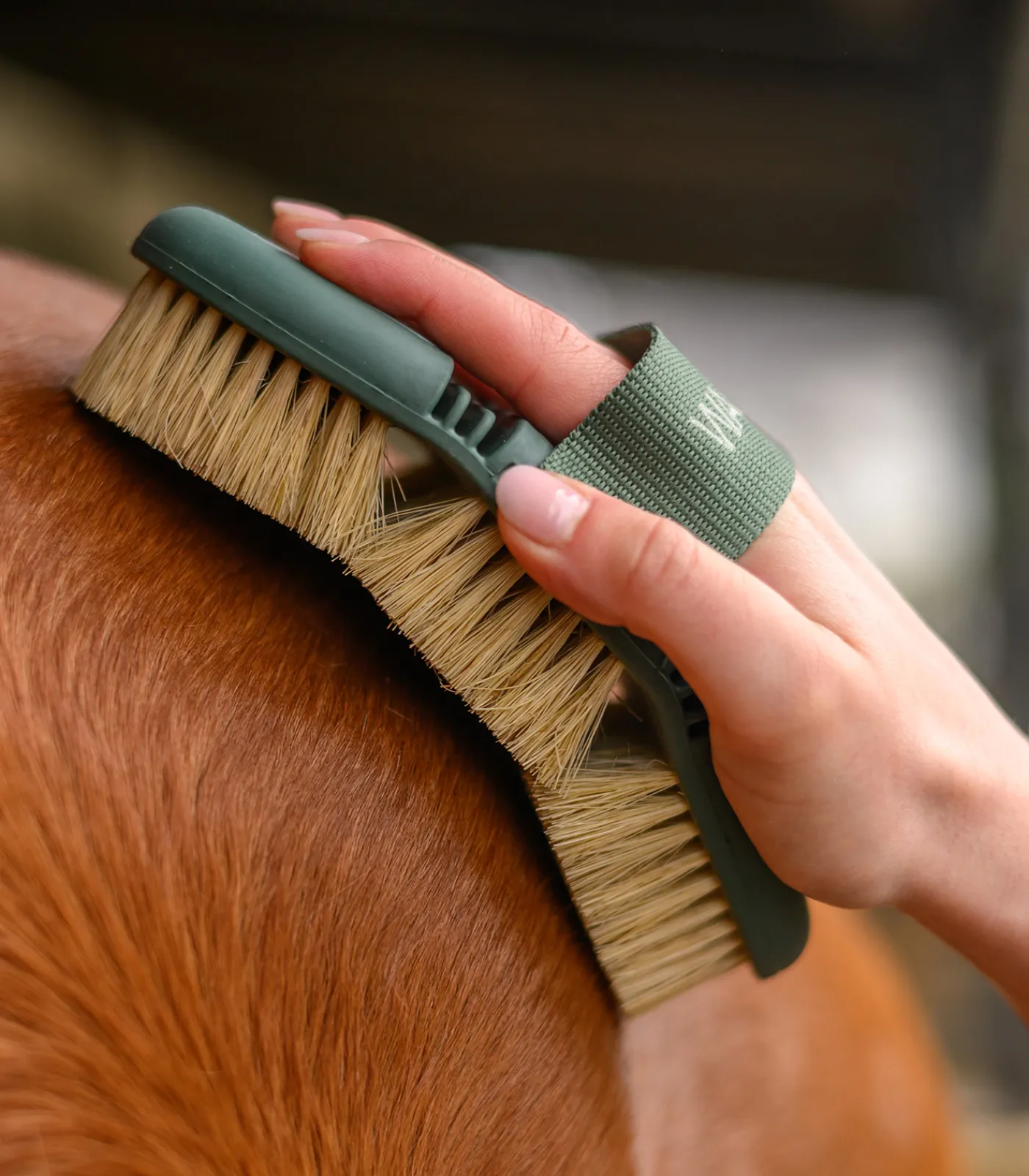 Waldhausen Putzzeug>Flex Wurzelbürste