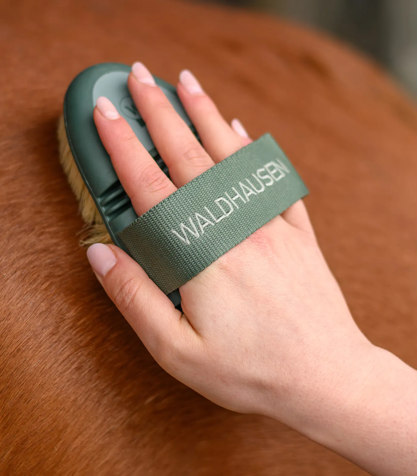 Waldhausen Putzzeug>Flex Wurzelbürste