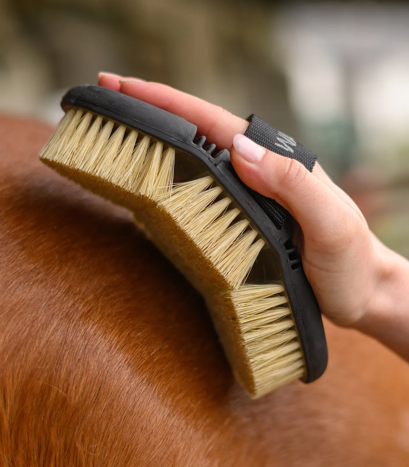 Waldhausen Putzzeug>Flex Wurzelbürste