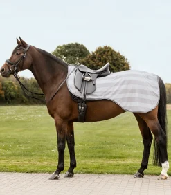 Waldhausen Fliegen- & Ekzemerdecken|Fliegendecken>Fliegen-Ausreitdecke Economic