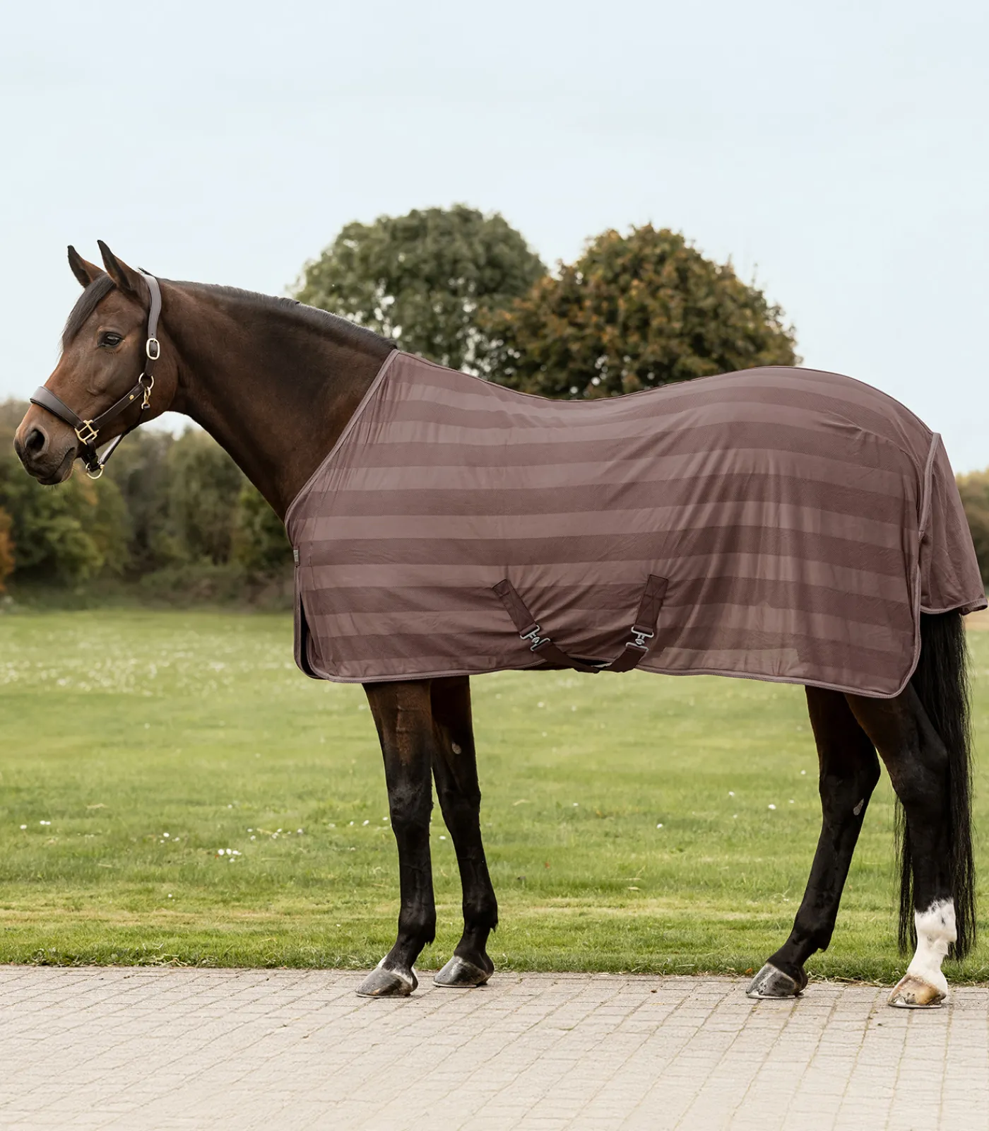 Waldhausen Fliegen- & Ekzemerdecken|Fliegendecken>Fliegendecke Economic