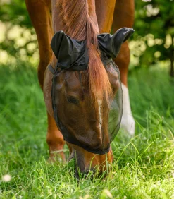 Waldhausen Pony & Shetty|Fliegenmasken Und -Fransen>Fliegenmaske Basic, mit Ohrenschutz