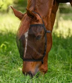 Waldhausen Pony & Shetty|Fliegenmasken Und -Fransen>Fliegenmaske Basic, ohne Ohren