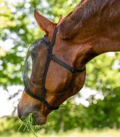 Waldhausen Pony & Shetty|Fliegenmasken Und -Fransen></noscript>Fliegenmaske Basic, ohne Ohren