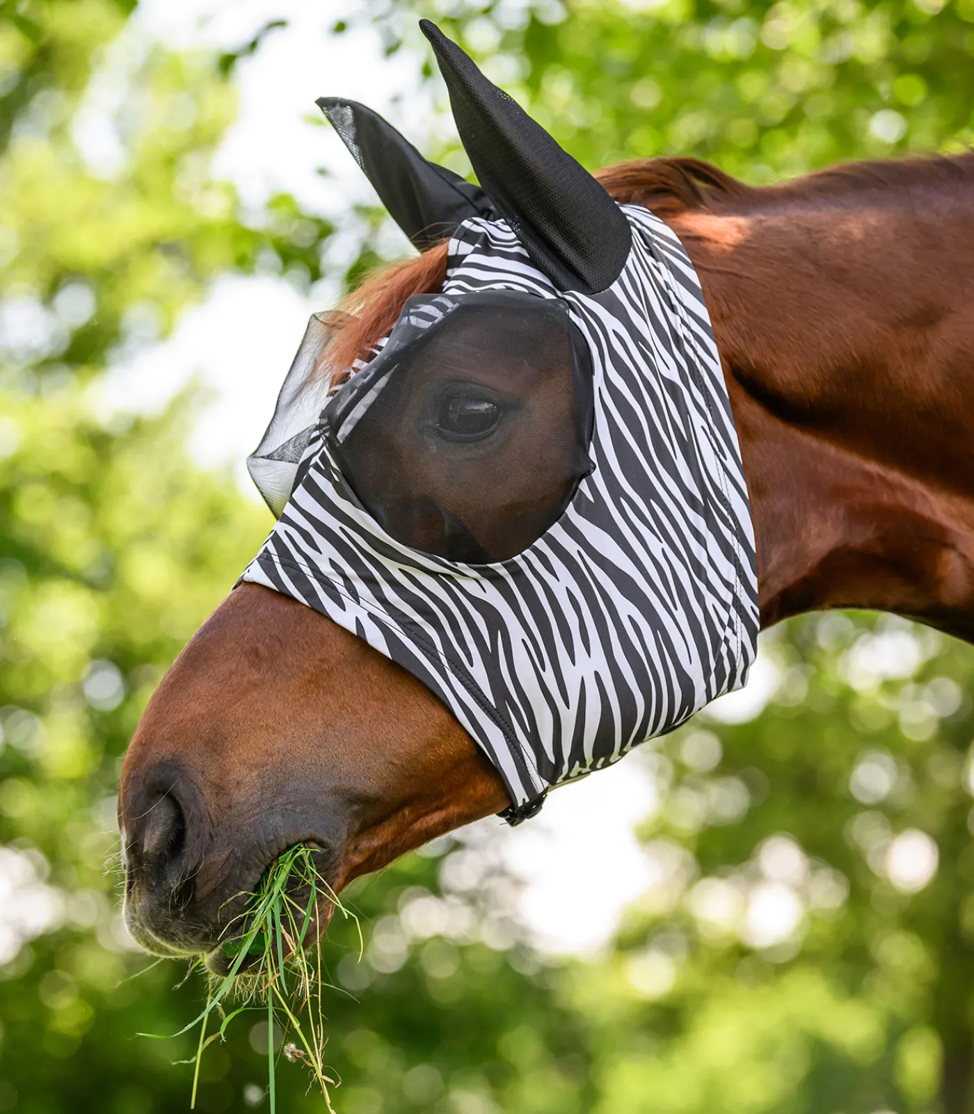 Waldhausen Zebra-Fliegenschutz|Fliegenmasken Und -Fransen>Fliegenmaske Puck Zebra