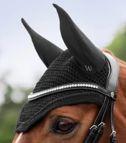 Waldhausen Fliegenhauben><noscript><img width=