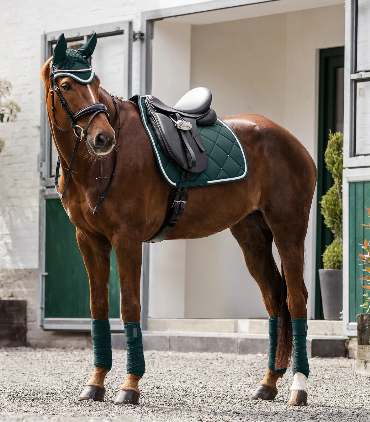 Waldhausen Fliegenhauben|Turnierschabracken & Fliegenohren>Fliegenohren Competition