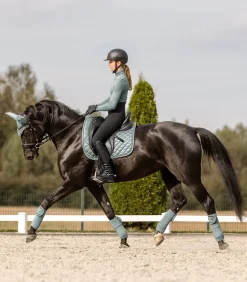 Waldhausen Fliegenhauben><noscript><img width=