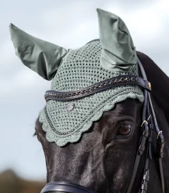 Waldhausen Fliegenhauben><noscript><img width=