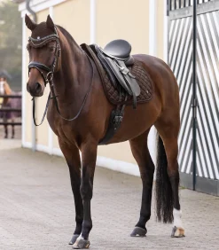 Waldhausen Fliegenhauben><noscript><img width=