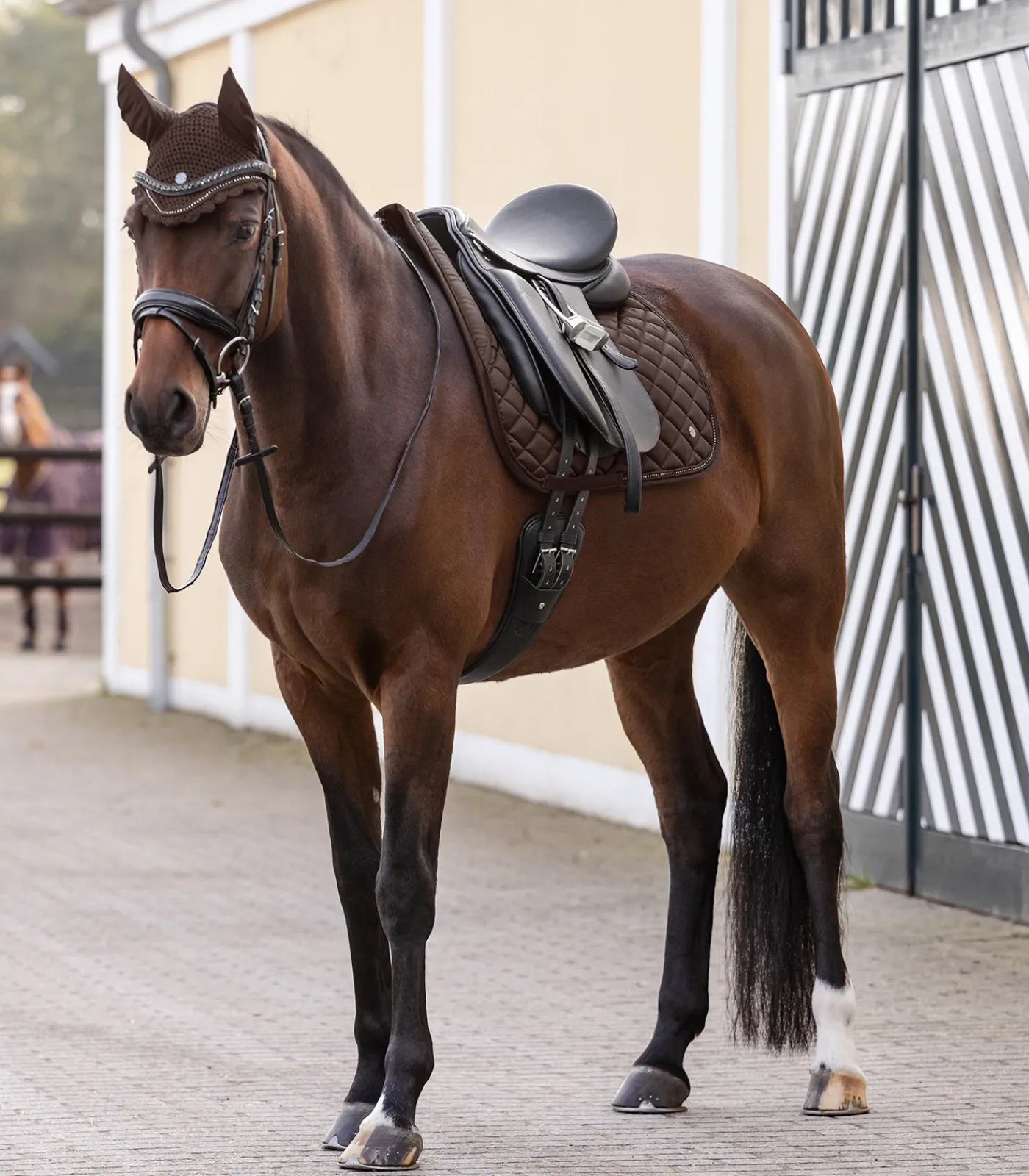 Waldhausen Fliegenhauben>Fliegenohren Nepal
