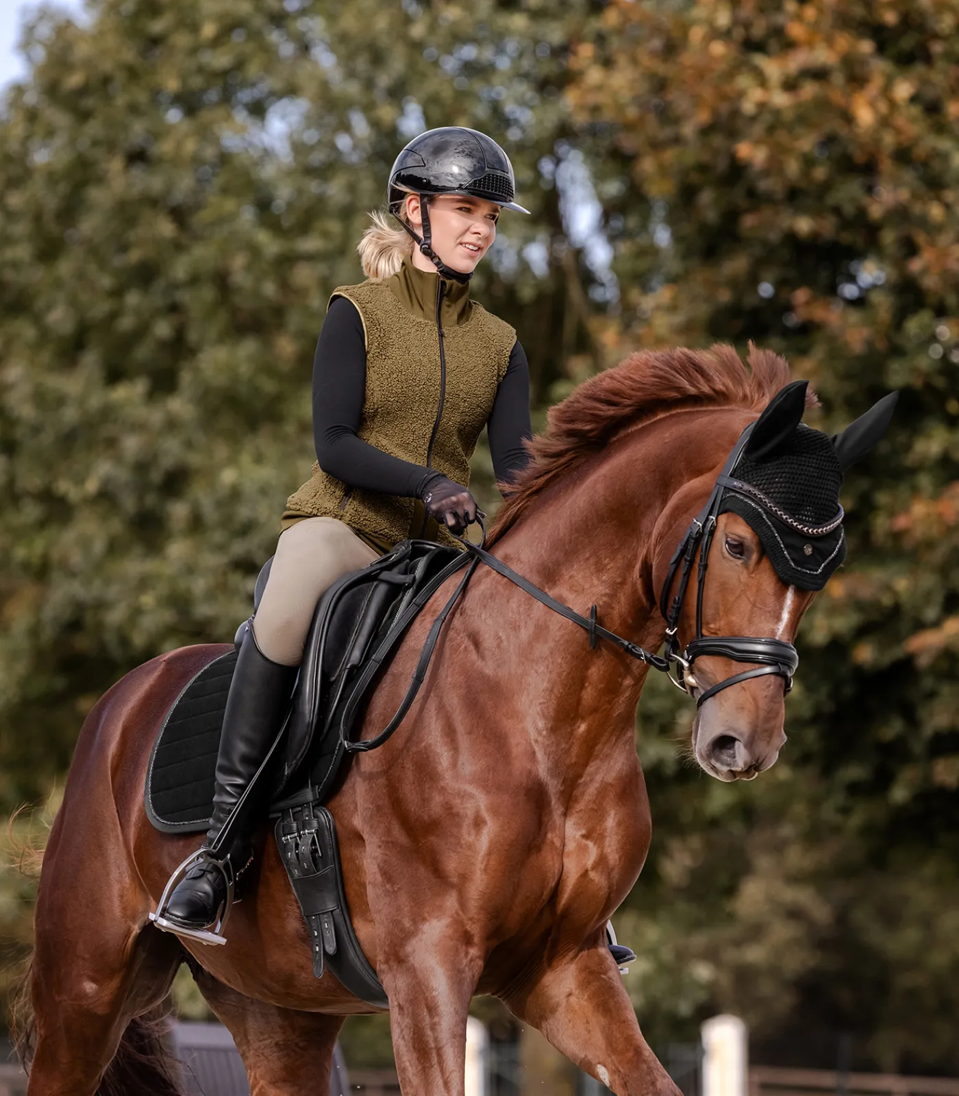 Waldhausen Fliegenhauben>Fliegenohren St. Gallen