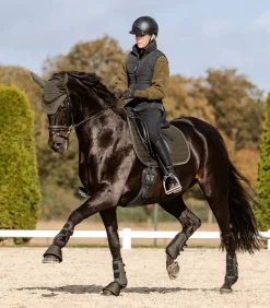 Waldhausen Fliegenhauben><noscript><img width=