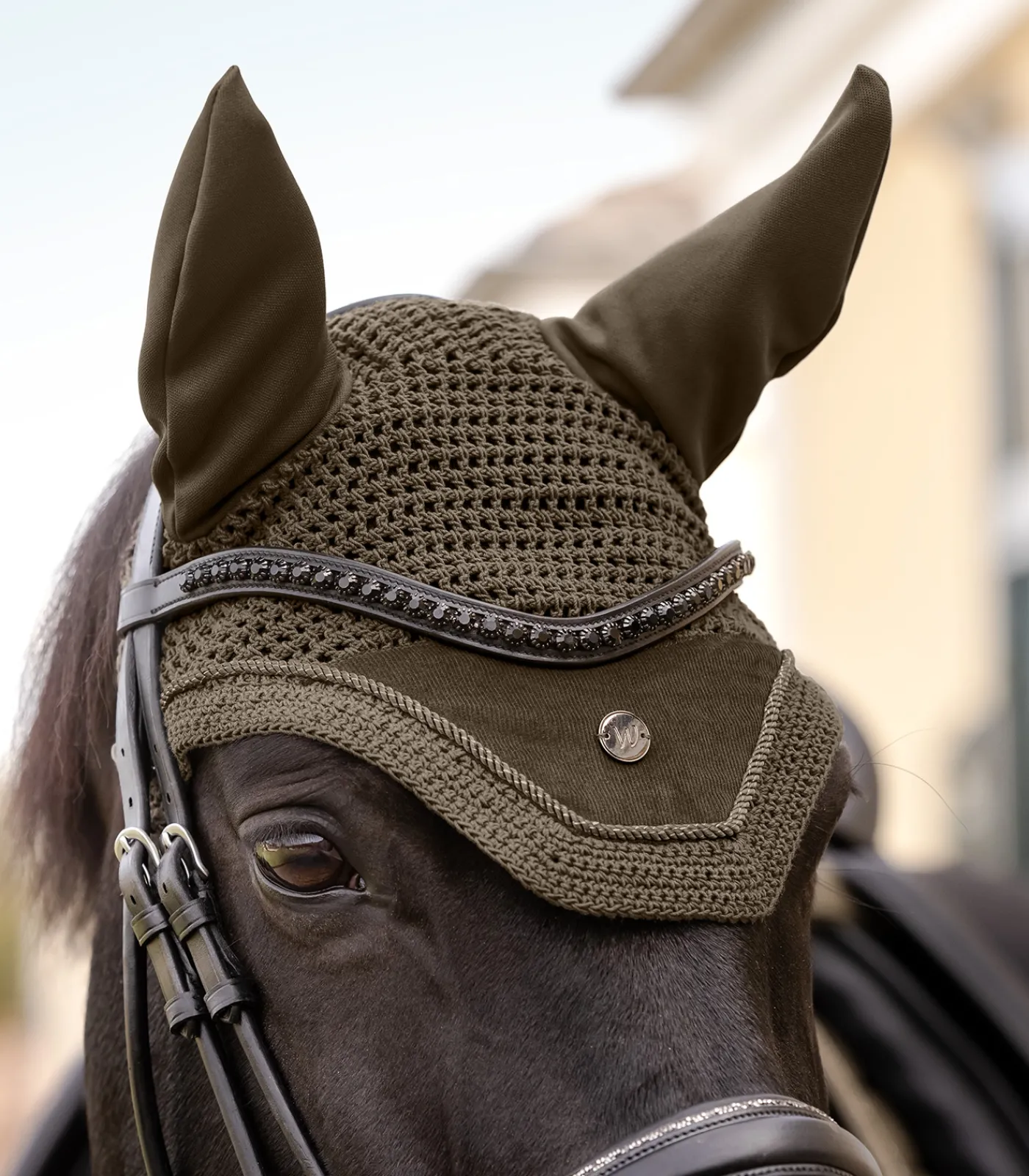 Waldhausen Fliegenhauben>Fliegenohren St. Gallen