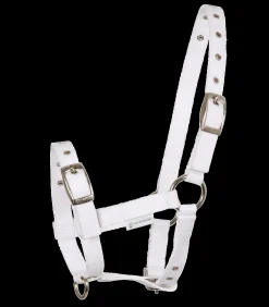 Waldhausen Fohlen|Halfter>Fohlenhalfter Triple