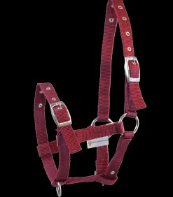 Waldhausen Fohlen|Halfter><noscript><img width=