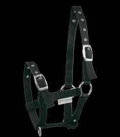 Waldhausen Fohlen|Halfter><noscript><img width=