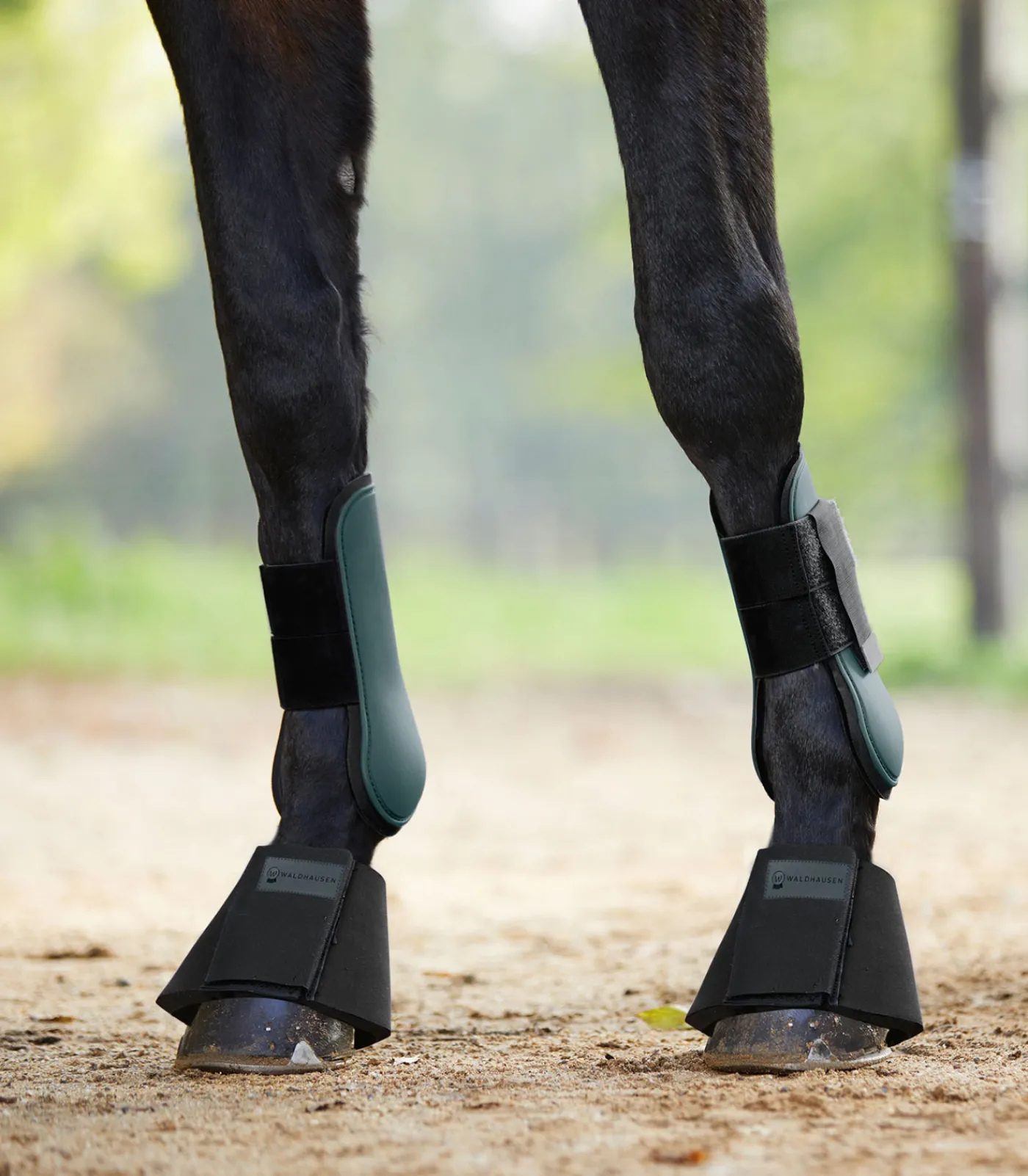 Waldhausen Gamaschen & Streichkappen>Gamasche Basic, Paar