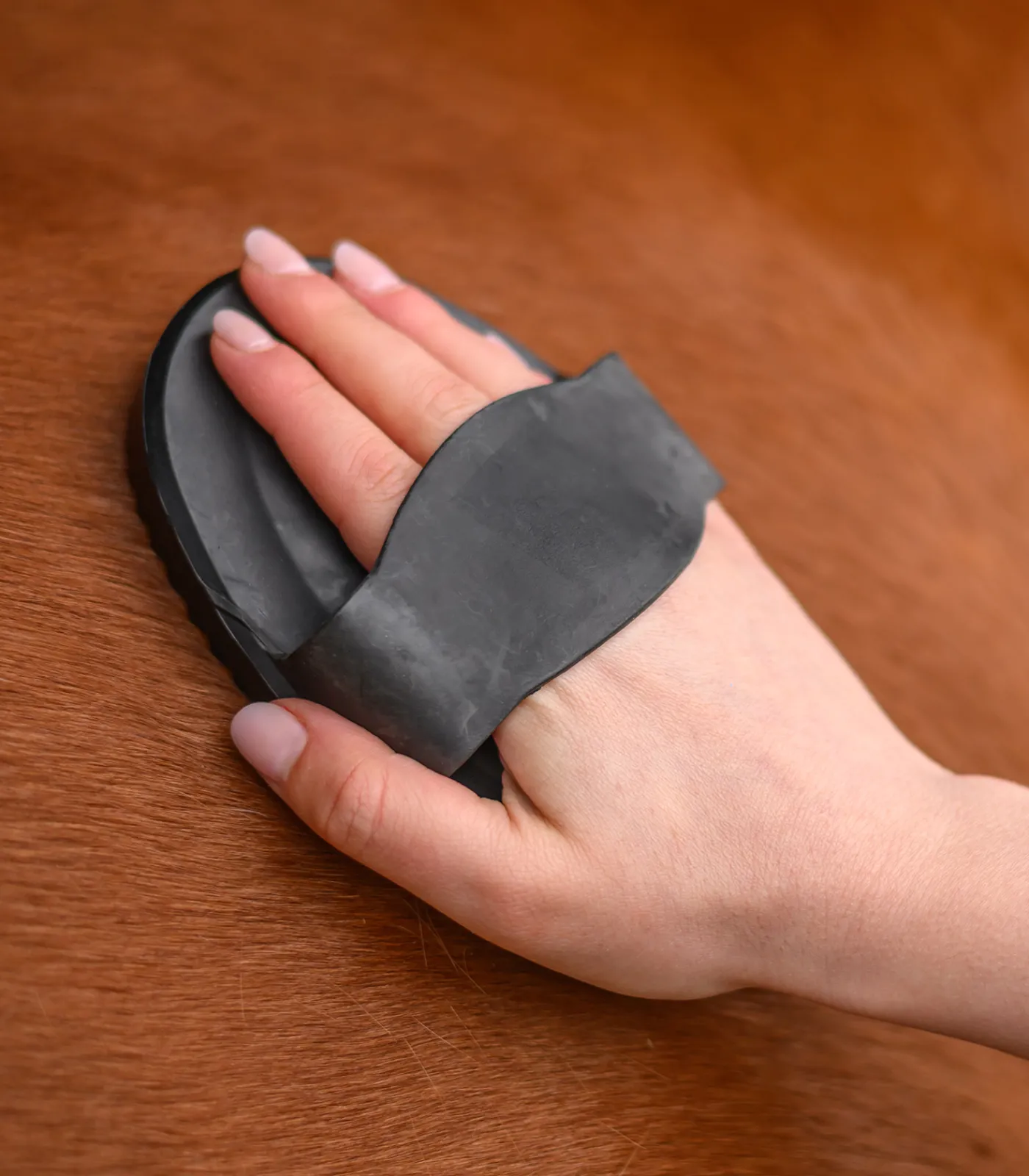 Waldhausen Putzzeug>Gummistriegel