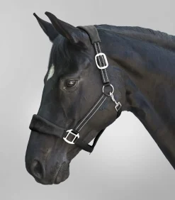 Waldhausen Pony & Shetty|Halfter><noscript><img width=