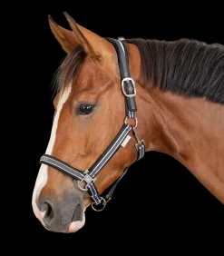 Waldhausen Pony & Shetty|Halfter><noscript><img width=