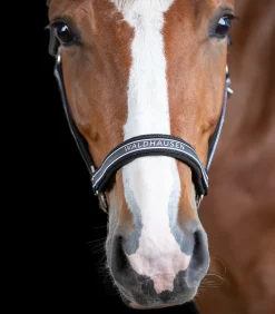 Waldhausen Pony & Shetty|Halfter><noscript><img width=