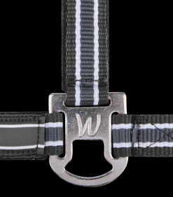 Waldhausen Pony & Shetty|Halfter><noscript><img width=