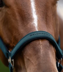 Waldhausen Pony & Shetty|Halfter><noscript><img width=