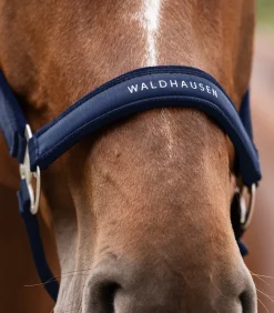 Waldhausen Pony & Shetty|Halfter><noscript><img width=
