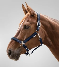 Waldhausen Pony & Shetty|Halfter><noscript><img width=