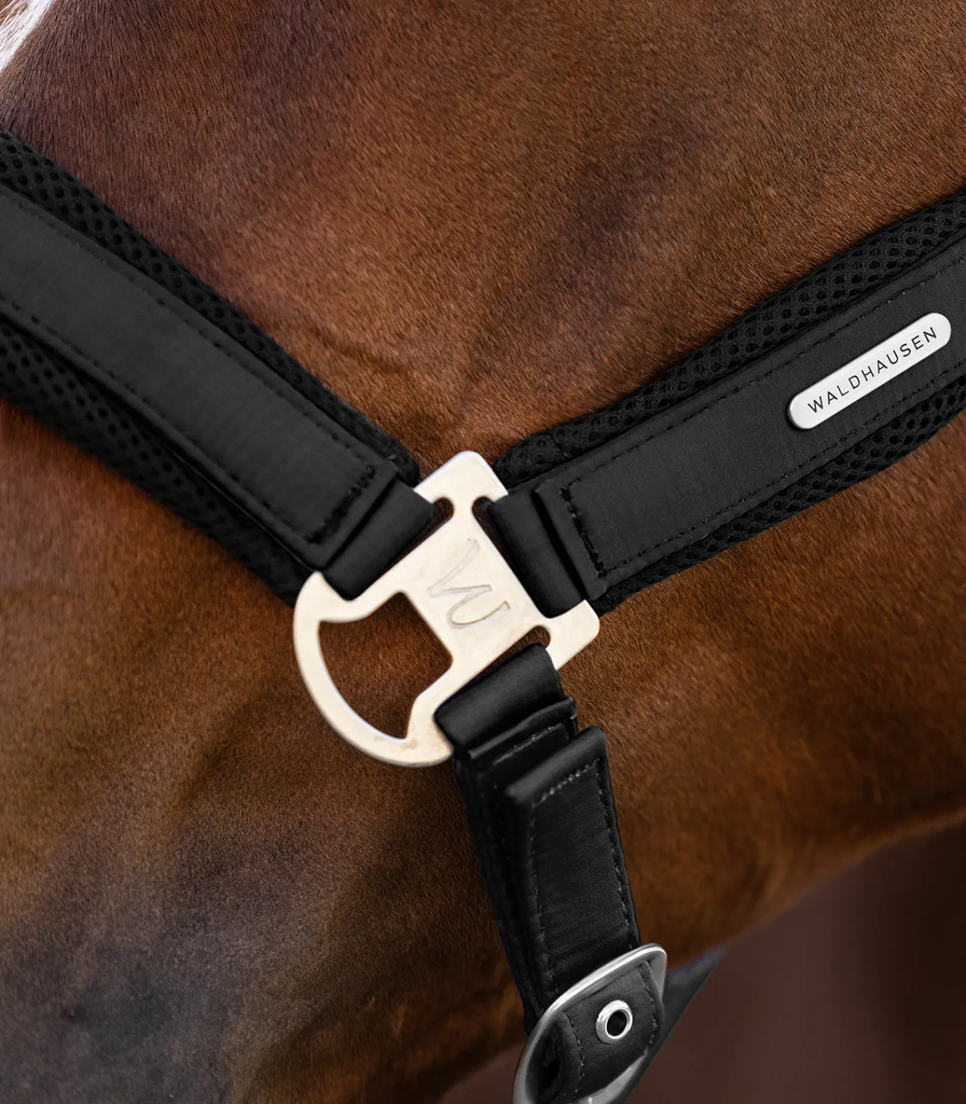 Waldhausen Halfter>Halfter Breath