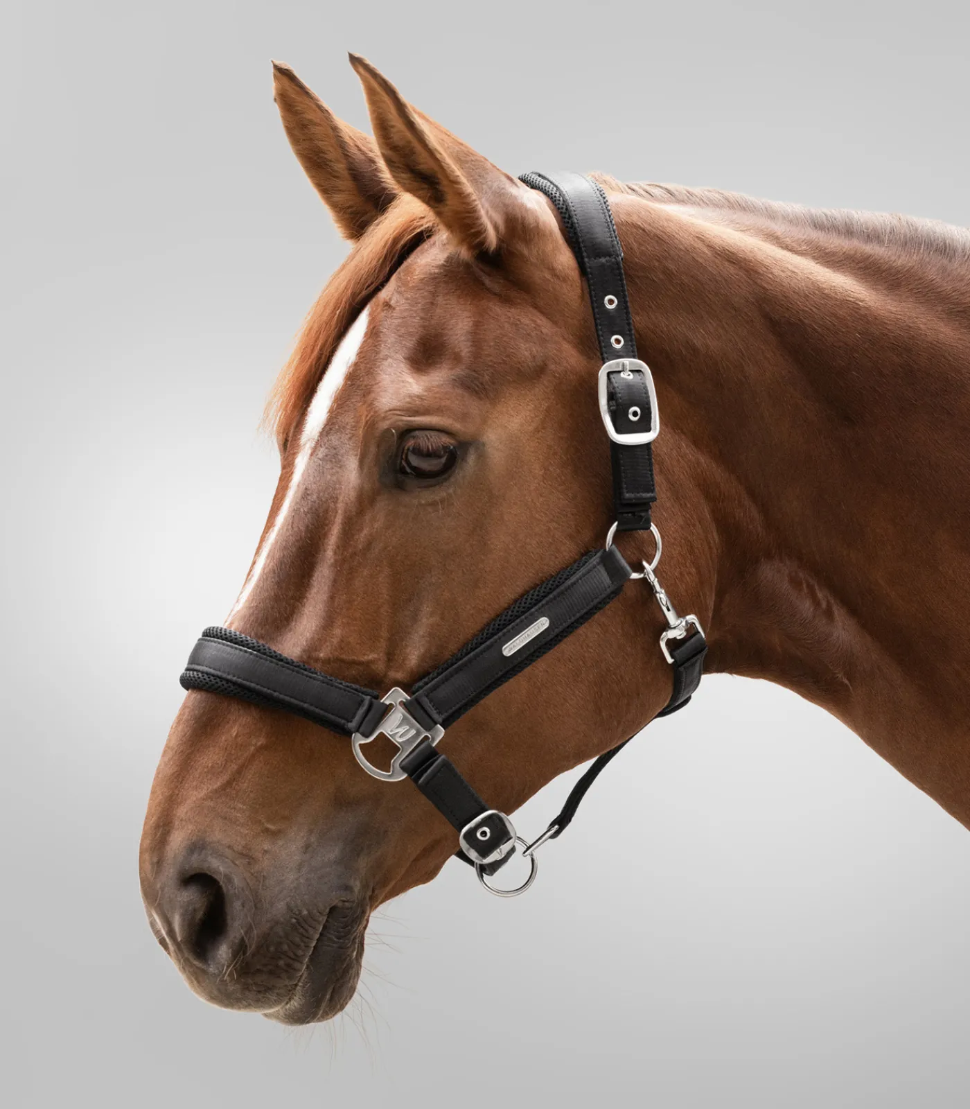 Waldhausen Halfter>Halfter Breath