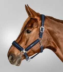 Waldhausen Halfter><noscript><img width=