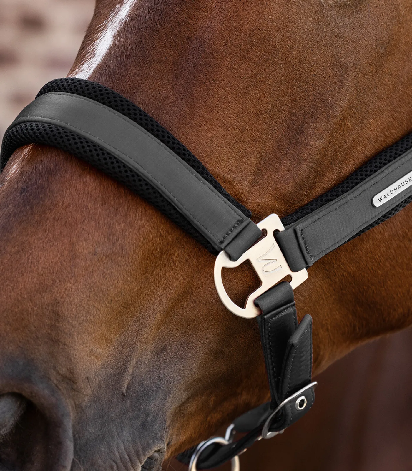 Waldhausen Halfter>Halfter Breath