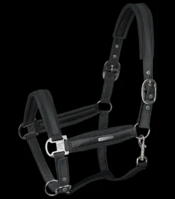 Waldhausen Halfter><noscript><img width=