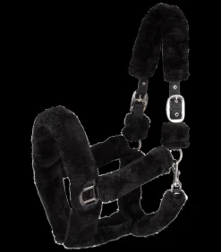 Waldhausen Transport|Pony & Shetty>Halfter Cozy