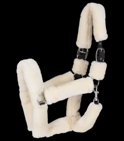 Waldhausen Transport|Pony & Shetty></noscript>Halfter Cozy