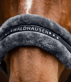 Waldhausen Pony & Shetty|Halfter></noscript>Halfter Elegant
