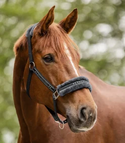 Waldhausen Pony & Shetty|Halfter></noscript>Halfter Elegant