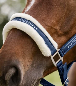 Waldhausen Pony & Shetty|Halfter></noscript>Halfter Elegant